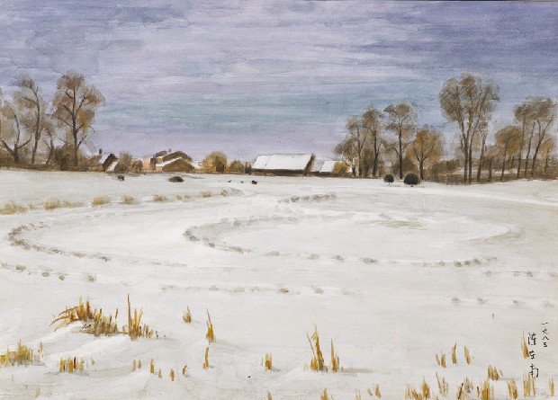 藏品:芝加哥雪景的(1)張圖片