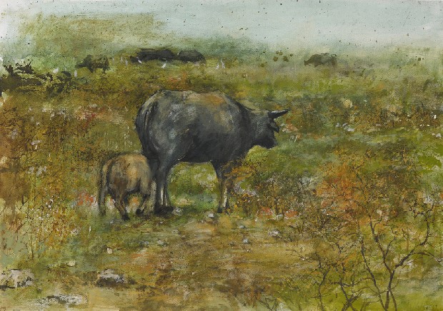 藏品:牛的(1)張圖片