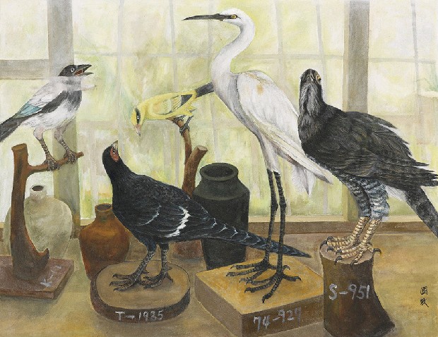 藏品:生物教室一隅的(1)張圖片