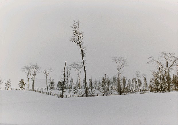 藏品:冬的(1)張圖片