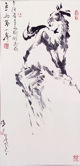 藏品:立馬第一峰的(1)張圖片