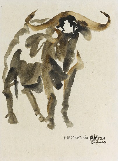 藏品:草原鬥士-非洲牛的(1)張圖片