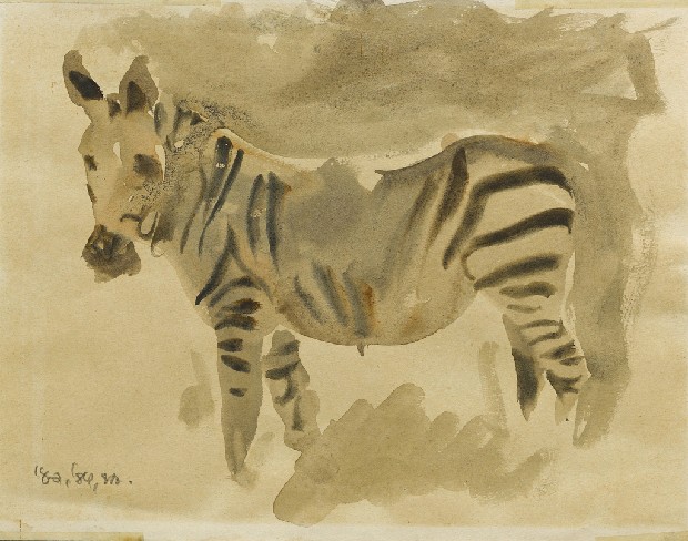 藏品:上帝的傑作Ⅱ-斑馬的(1)張圖片