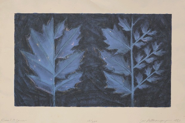 藏品:從E.J角落的(1)張圖片