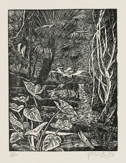 藏品:郊野的(1)張圖片