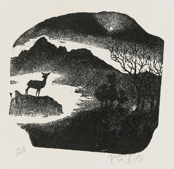 藏品:曉的(1)張圖片