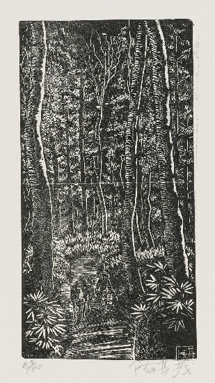 藏品:山林之朝的(1)張圖片