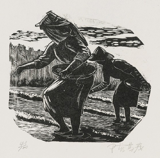 藏品:播種的(1)張圖片