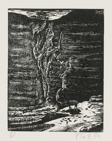 藏品:山崖的(1)張圖片