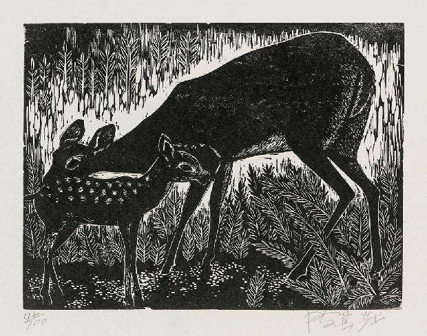 藏品:鹿的(1)張圖片