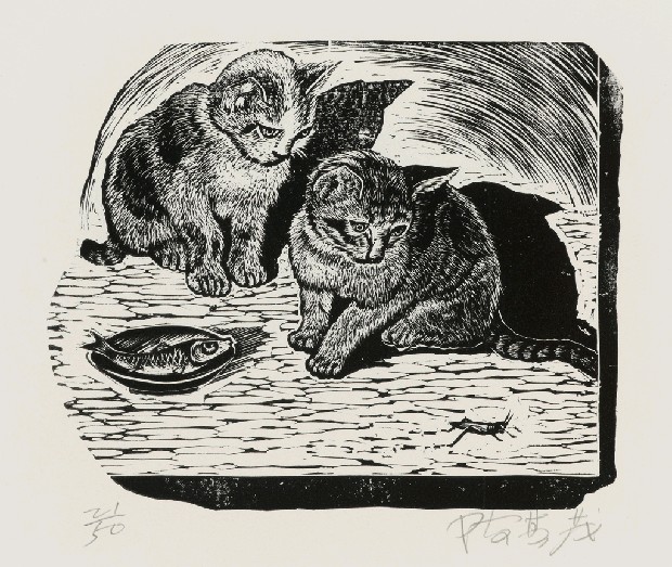 藏品:奇異的(1)張圖片