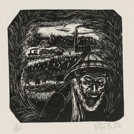 藏品:老蔗農的(1)張圖片