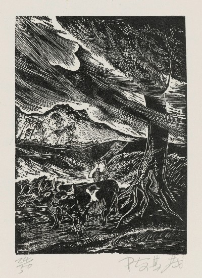 藏品:刮風了的(1)張圖片