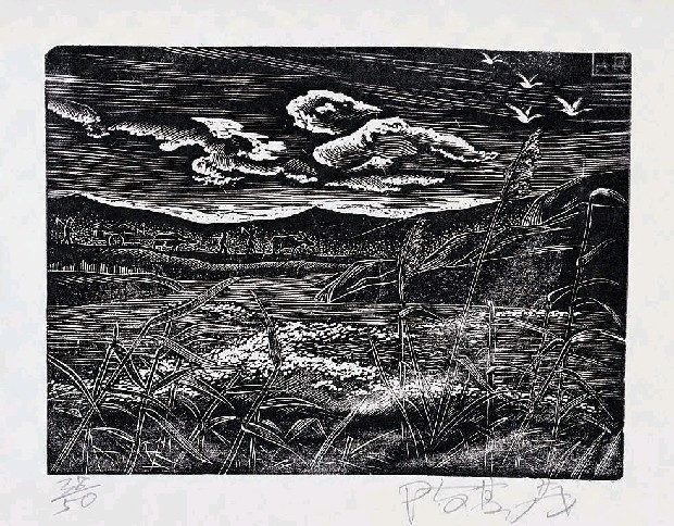 藏品:秋郊的(1)張圖片