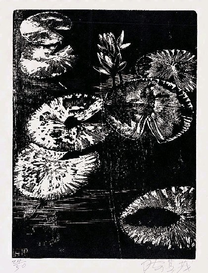 藏品:蓮池的(1)張圖片