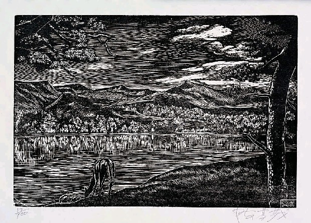 藏品:鯉魚潭的(1)張圖片