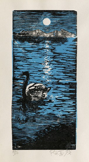 藏品:天鵝湖的(1)張圖片