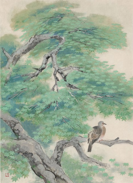 藏品:綠陰的(1)張圖片