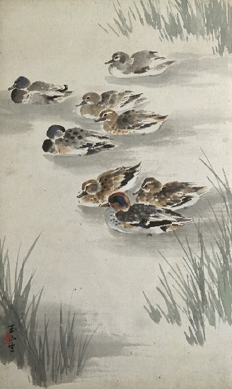 藏品:寒汀的(1)張圖片