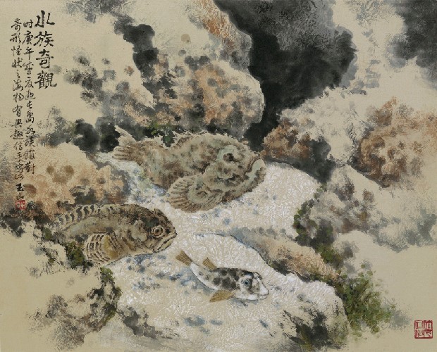 藏品:水族奇觀的(1)張圖片