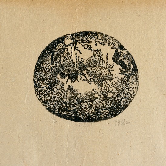 藏品:水族系列的(1)張圖片