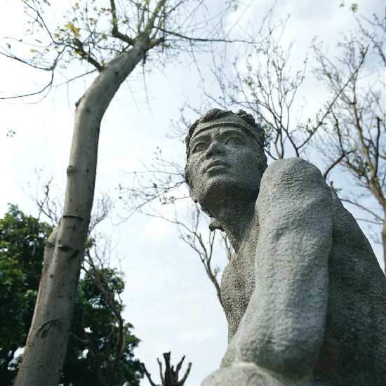 藏品:守望的(7)張圖片