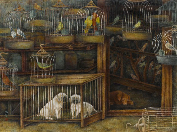 藏品:寵物店的(1)張圖片