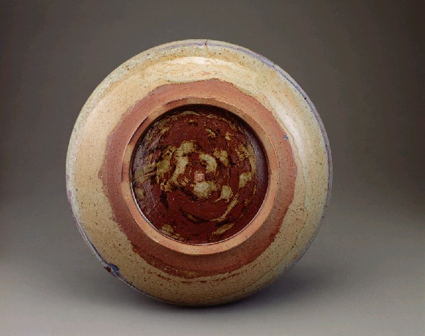 藏品:深海的沉思的(2)張圖片