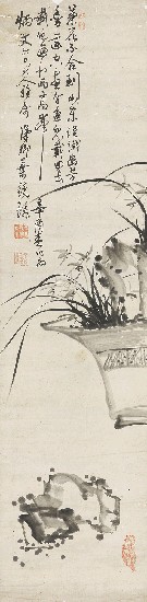 藏品:蘭石的(1)張圖片