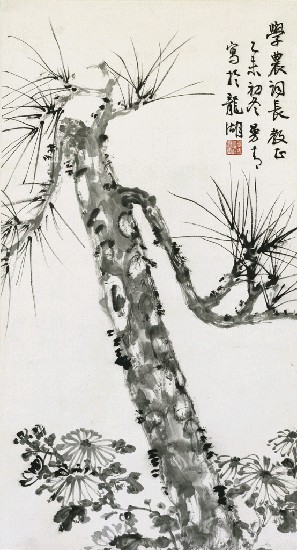 藏品:墨松菊的(1)張圖片