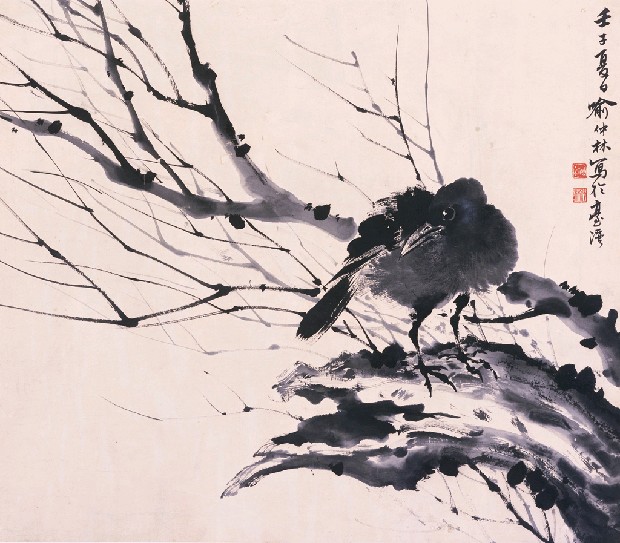 花鳥的焦點圖