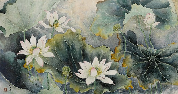 藏品:白蓮池的(1)張圖片