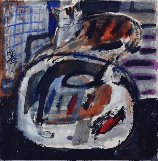 藏品:貓的(1)張圖片