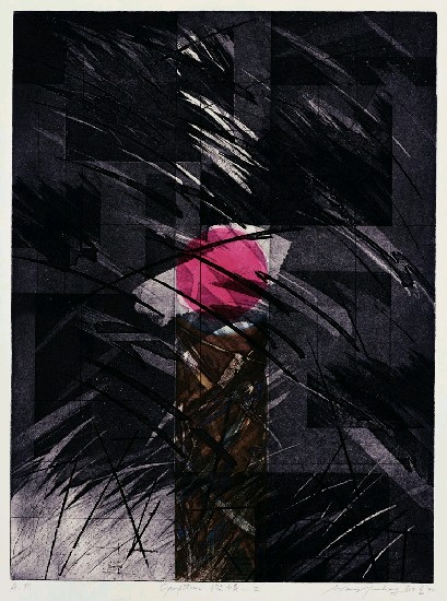 藏品:徵候- II的(1)張圖片