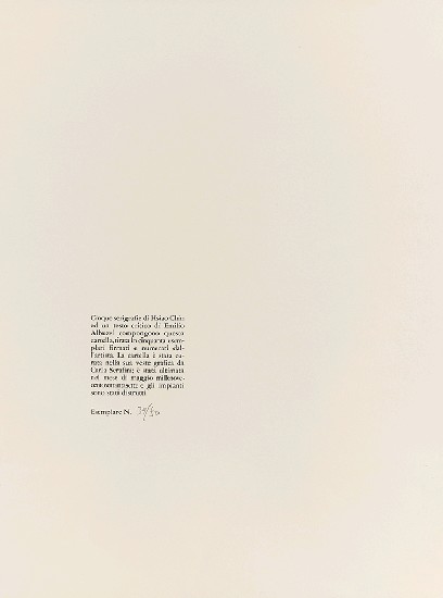 藏品:禪的(7)張圖片