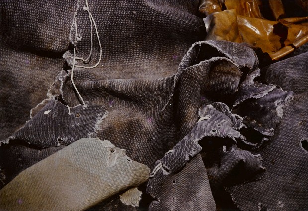 藏品:無題的(1)張圖片