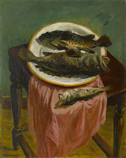 藏品:魚的(1)張圖片