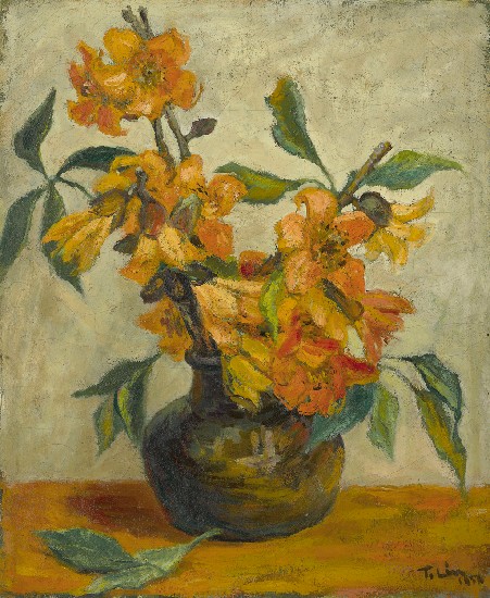 藏品:木棉花的(1)張圖片