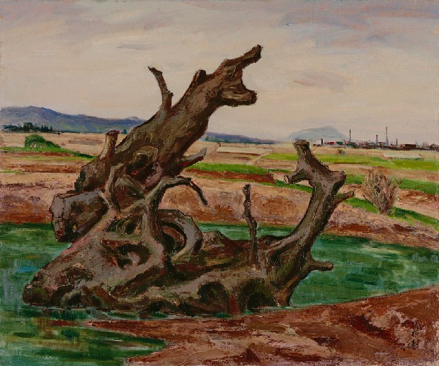 藏品:荒涼的(1)張圖片