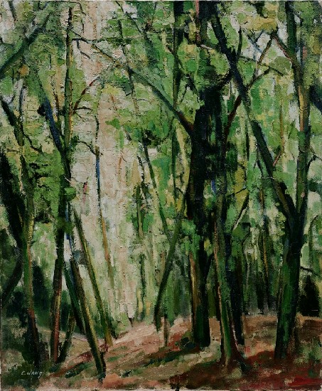 藏品:新綠(綠蔭)的(1)張圖片