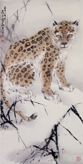 藏品:雪豹的(1)張圖片