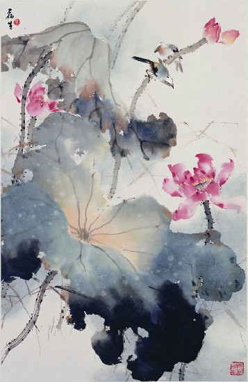 藏品:紅荷白頭翁的(1)張圖片