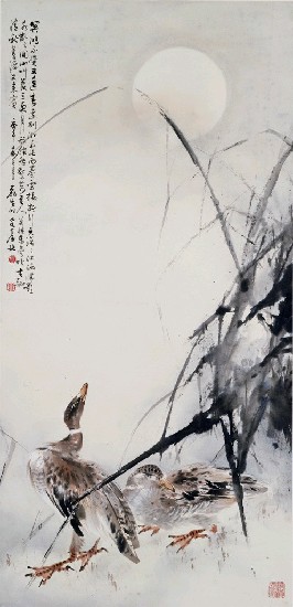 藏品:蘆雁的(1)張圖片