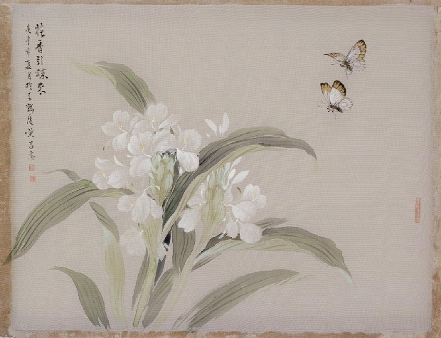 藏品:撲香雙蝶的(1)張圖片