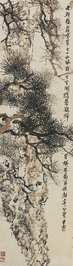 松的焦點圖