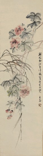 藏品:芙蓉的(1)張圖片