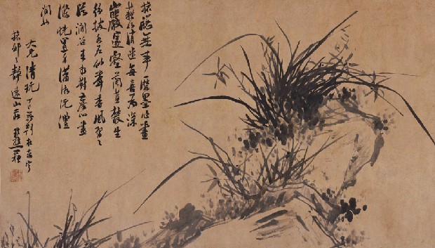 藏品:蘭石的(1)張圖片