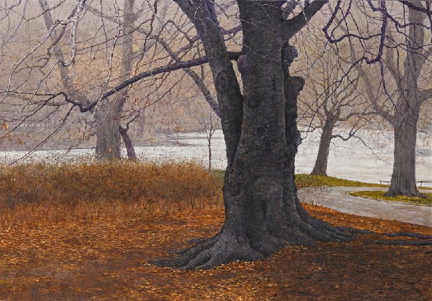 藏品:初冬的(1)張圖片