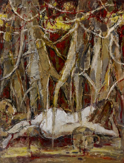 藏品:夢幻的(1)張圖片