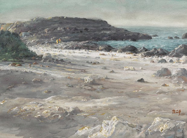 藏品:海邊的沙地的(1)張圖片